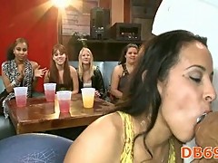 Drunk girls sucking the cocks
